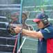 Corsi IPSC Gold Level