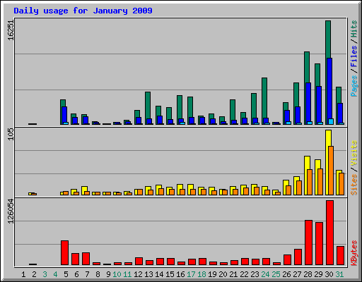 Daily usage for January 2009