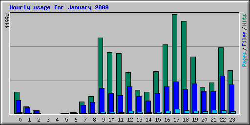 Hourly usage for January 2009
