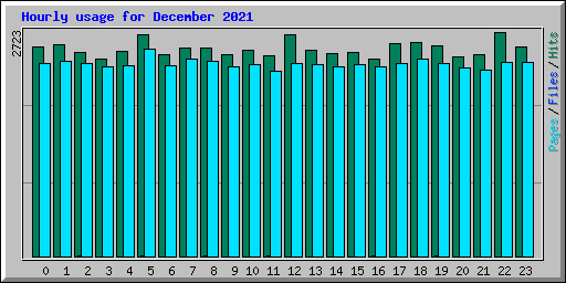 Hourly usage for December 2021