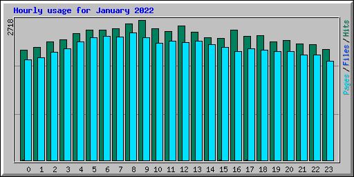 Hourly usage for January 2022