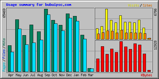 Usage summary for bubuipsc.com